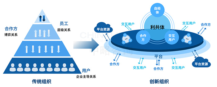 组织变革与创新模式