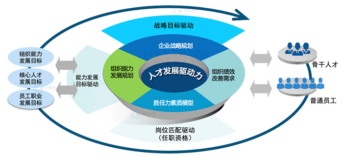 人才发展驱动力模型