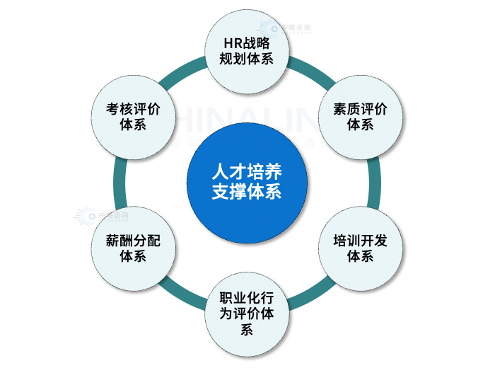 人才培养支撑体系模型