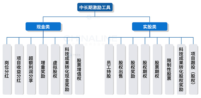 中长期激励工具类型