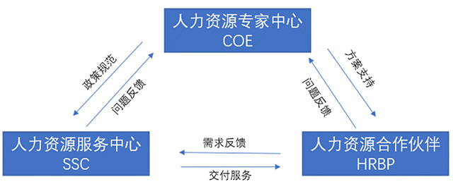 人力资源三支柱